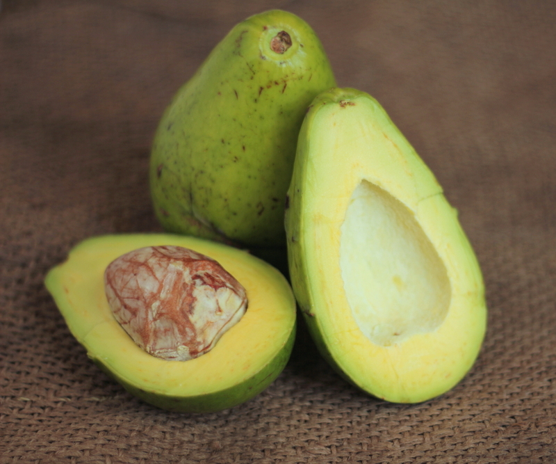 Avocados In Marathi